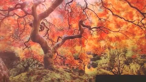 Ember Starleena online show from September 29, 1:16 pm