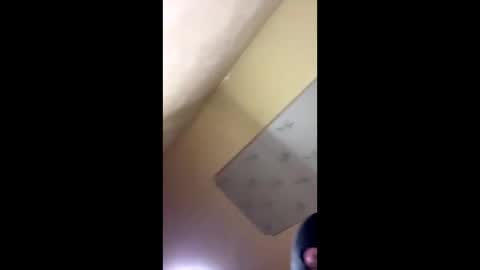 Emily online show from October 14, 8:20 pm