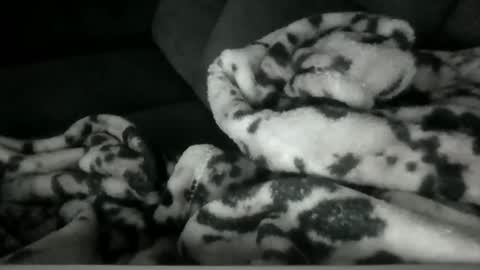 emilywarren296 online show from October 21, 1:12 pm