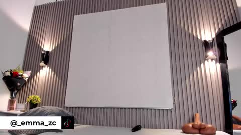 Snapshot of emmazc_ chatting on October 10, 8:19 pm emmazc_ online show from October 10, 8:19 pm