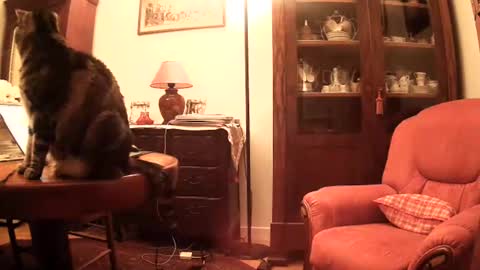 Snapshot of ericstephcam31 chatting on November 26, 10:05 am Steph et Eric online show from November 26, 10:05 am