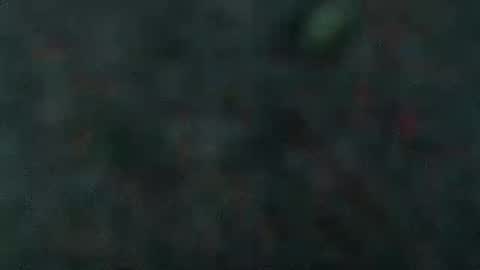 estelarseiya online show from February 5, 7:07 am