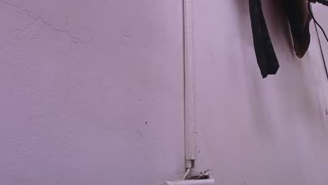 Estrella online show from February 22, 11:57 am