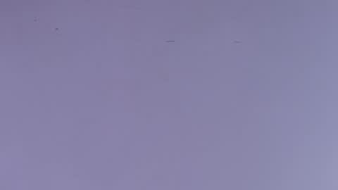 Estrella online show from October 1, 12:00 pm