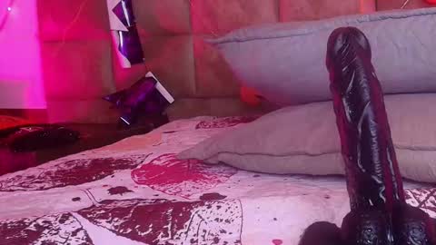 Estrella online show from November 1, 11:56 am