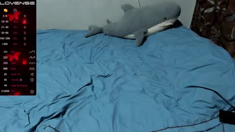 Eva online show from December 16, 5:33 pm