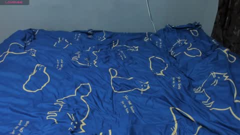 Eva online show from January 28, 3:25 pm