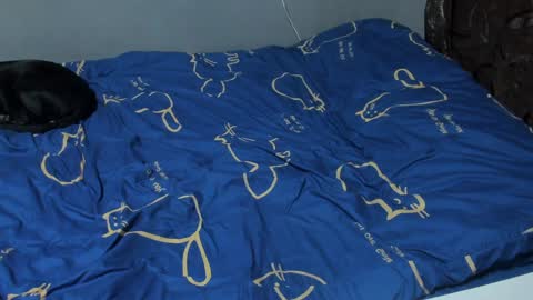 Eva online show from February 6, 3:20 pm