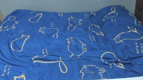 Eva online show from February 7, 2:04 pm