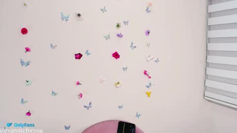 Eva online show from November 4, 11:15 pm