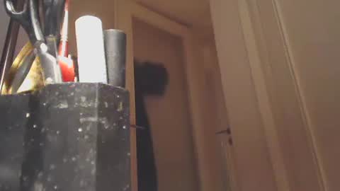 EZCODA online show from January 26, 10:57 pm