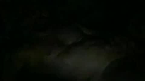 FABX online show from November 10, 10:31 pm