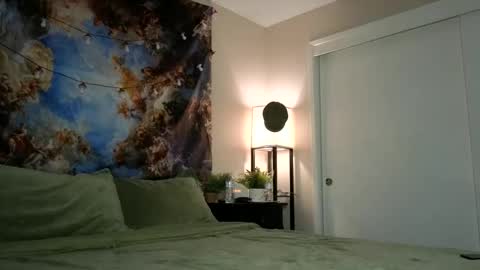 Snapshot of faerienugs chatting on December 11, 12:54 am Faerie 3 online show from December 11, 12:54 am