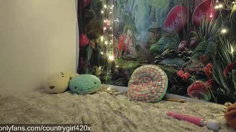 Snapshot of faerienugs chatting on November 24, 12:32 am Faerie 3 online show from November 24, 12:32 am