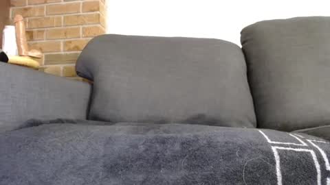 fafnir1278 online show from January 20, 6:10 am