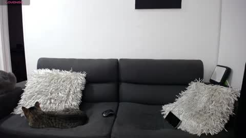 FallGays online show from February 22, 12:16 am