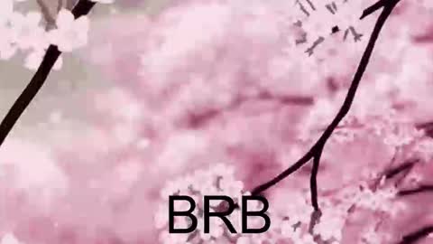 Snapshot of farahmantifel chatting on October 10, 1:43 pm Anna Scovich online show from October 10, 1:43 pm