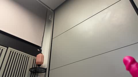 Gattino online show from December 3, 2:03 am