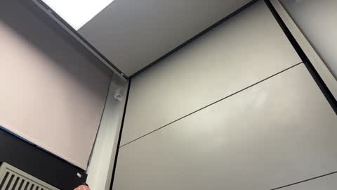 Gattino online show from December 3, 8:16 am