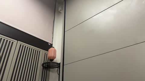 Gattino online show from December 20, 11:37 pm