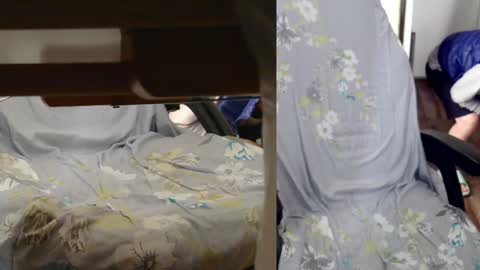 Snapshot of felixlau chatting on January 7, 7:42 am felixlau online show from January 7, 7:42 am