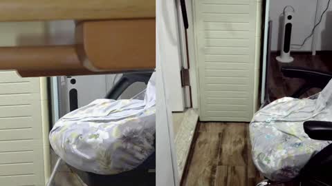 Snapshot of felixlau chatting on January 26, 12:11 pm felixlau online show from January 26, 12:11 pm