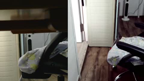 Snapshot of felixlau chatting on February 3, 7:51 am felixlau online show from February 3, 7:51 am