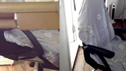 Snapshot of felixlau chatting on February 24, 7:22 am felixlau online show from February 24, 7:22 am