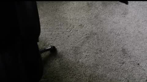 fengshui1982 online show from November 29, 6:22 pm