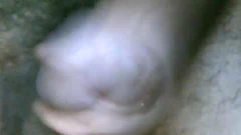 fer_2197 online show from October 31, 1:45 pm