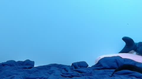 FE fee online show from February 28, 2:09 am