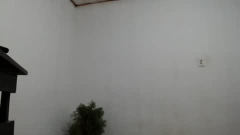 fernandez_latinblack online show from December 2, 4:20 am