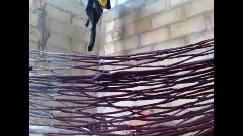 fernandez_latinblack online show from October 1, 2:12 pm