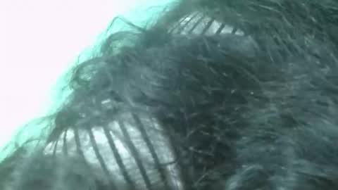 fifaalydia online show from November 22, 7:57 pm