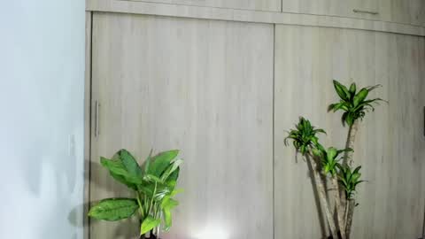 filletatouee online show from November 10, 4:44 am