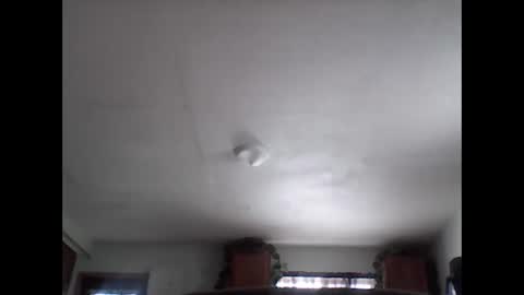 Brad online show from November 29, 8:01 pm