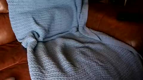 Snapshot of fitstevie1 chatting on January 16, 11:27 pm fitstevie1 online show from January 16, 11:27 pm