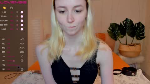 Snapshot of fleximona chatting on December 8, 12:52 pm FlexiMona online show from December 8, 12:52 pm