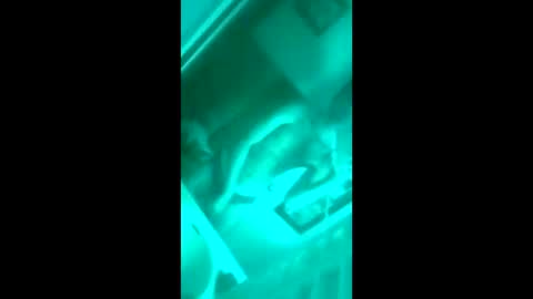 Snapshot of floridaloverboy88 chatting on September 29, 5:29 pm floridaloverboy88 online show from September 29, 5:29 pm