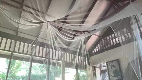 Snapshot of fluffy_bunnyxxx chatting on February 6, 5:35 am fluffy_bunnyxxx online show from February 6, 5:35 am