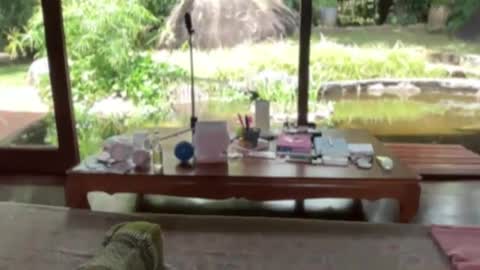 Snapshot of fluffy_bunnyxxx chatting on February 21, 5:13 am fluffy_bunnyxxx online show from February 21, 5:13 am