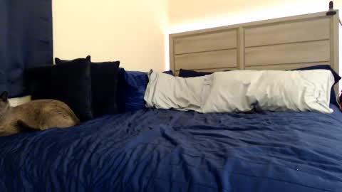 Angel online show from December 5, 3:39 pm