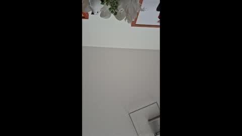 Walter Fischer online show from November 23, 9:09 am