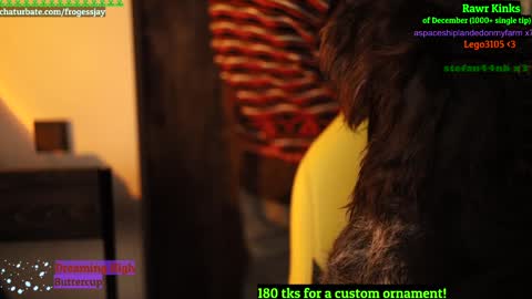 Snapshot of frogessjay chatting on December 26, 9:47 pm Jaywise Frogfoot online show from December 26, 9:47 pm