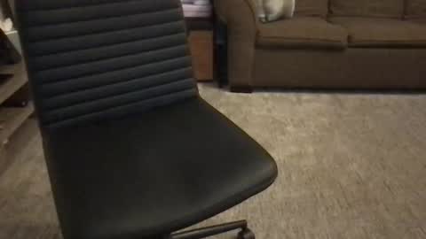 Fuck Me in GR online show from November 4, 3:00 pm