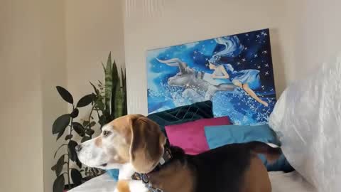 Vicky online show from January 10, 1:21 am