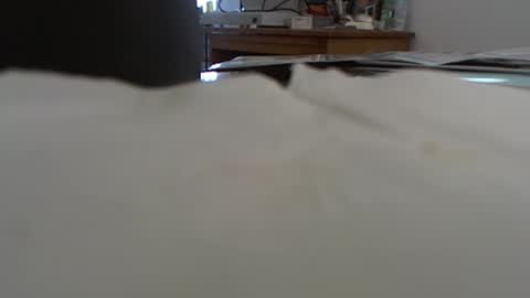 funone8848 online show from January 13, 8:04 pm