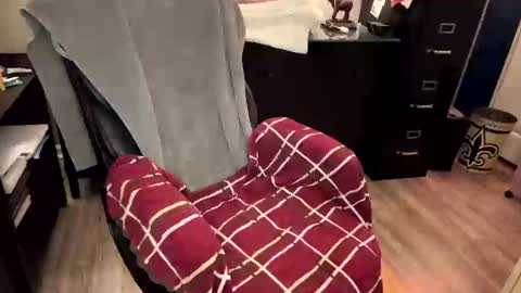 Snapshot of furryhugs69 chatting on February 21, 2:16 pm Erich online show from February 21, 2:16 pm