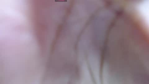 .  online show from December 12, 5:31 am