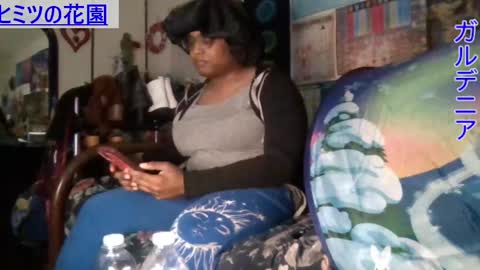 Gardenia online show from December 12, 10:13 am